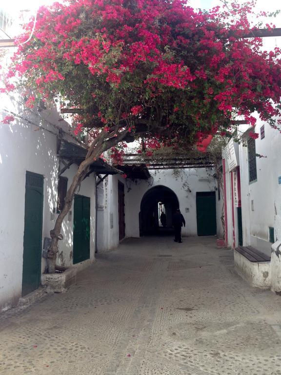 Hotel Riad Dalia Tetouan Tetuão Exterior foto
